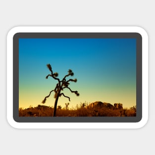 Joshua Tree National Park, California Sticker